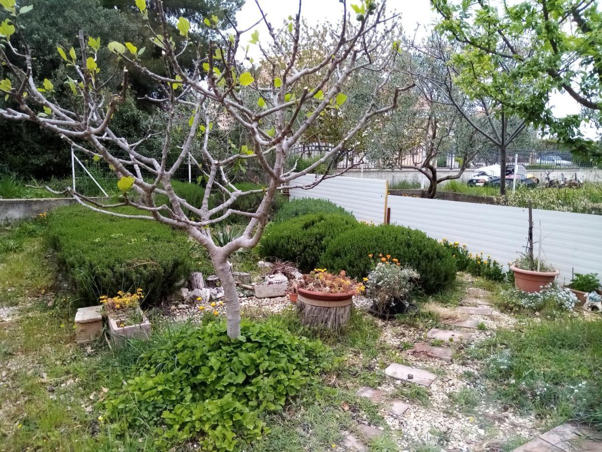 Apartments Vanja Skara Biograd Biograd Na Moru Ngoại thất bức ảnh