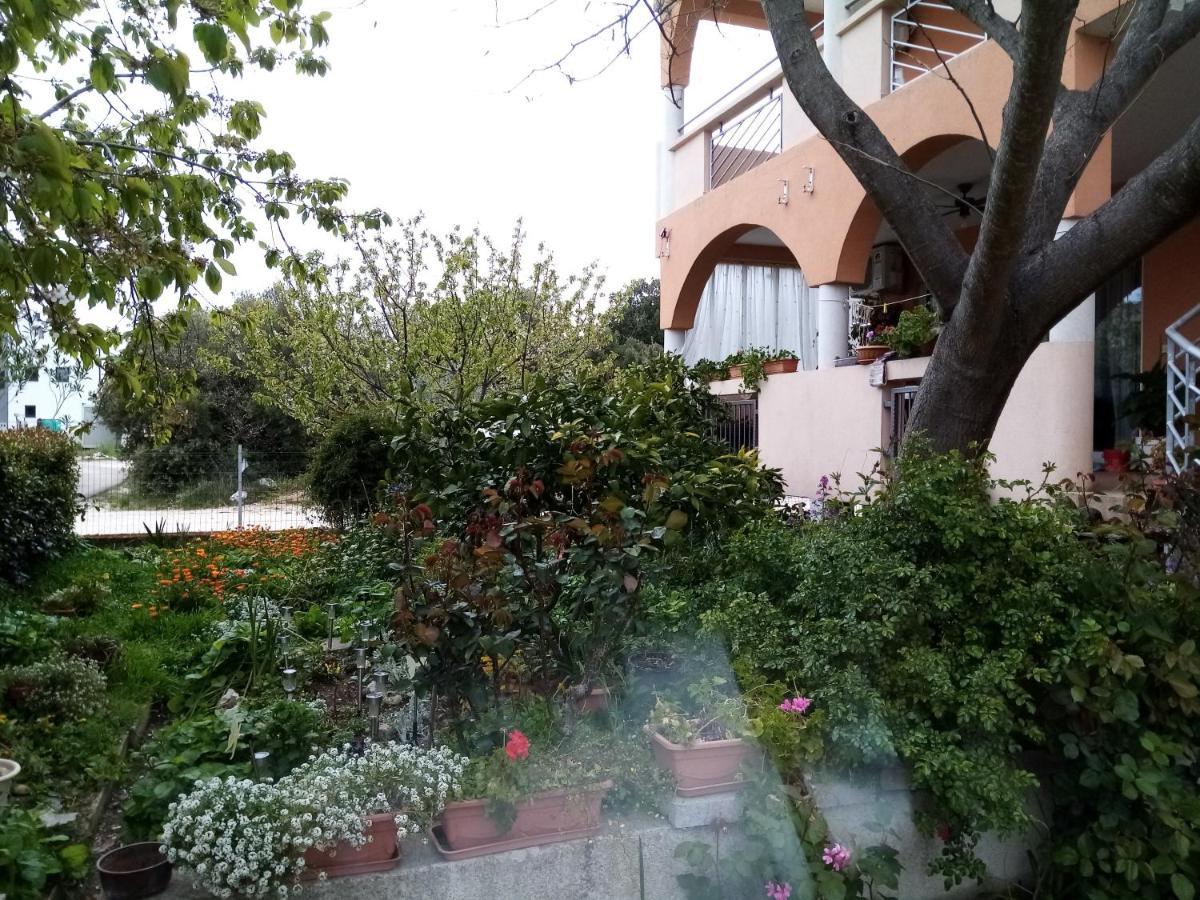 Apartments Vanja Skara Biograd Biograd Na Moru Ngoại thất bức ảnh