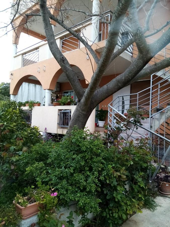 Apartments Vanja Skara Biograd Biograd Na Moru Ngoại thất bức ảnh